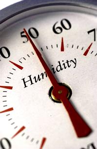 home dehumidification system, Boston, Mansfield MA